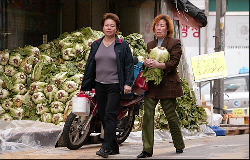 동네 슈퍼마켓에 들여놓은 배추를 한참 둘러보던 주민들이 1000원짜리 배추 1포기를 손에 들고 집으로 향하고 있다. 